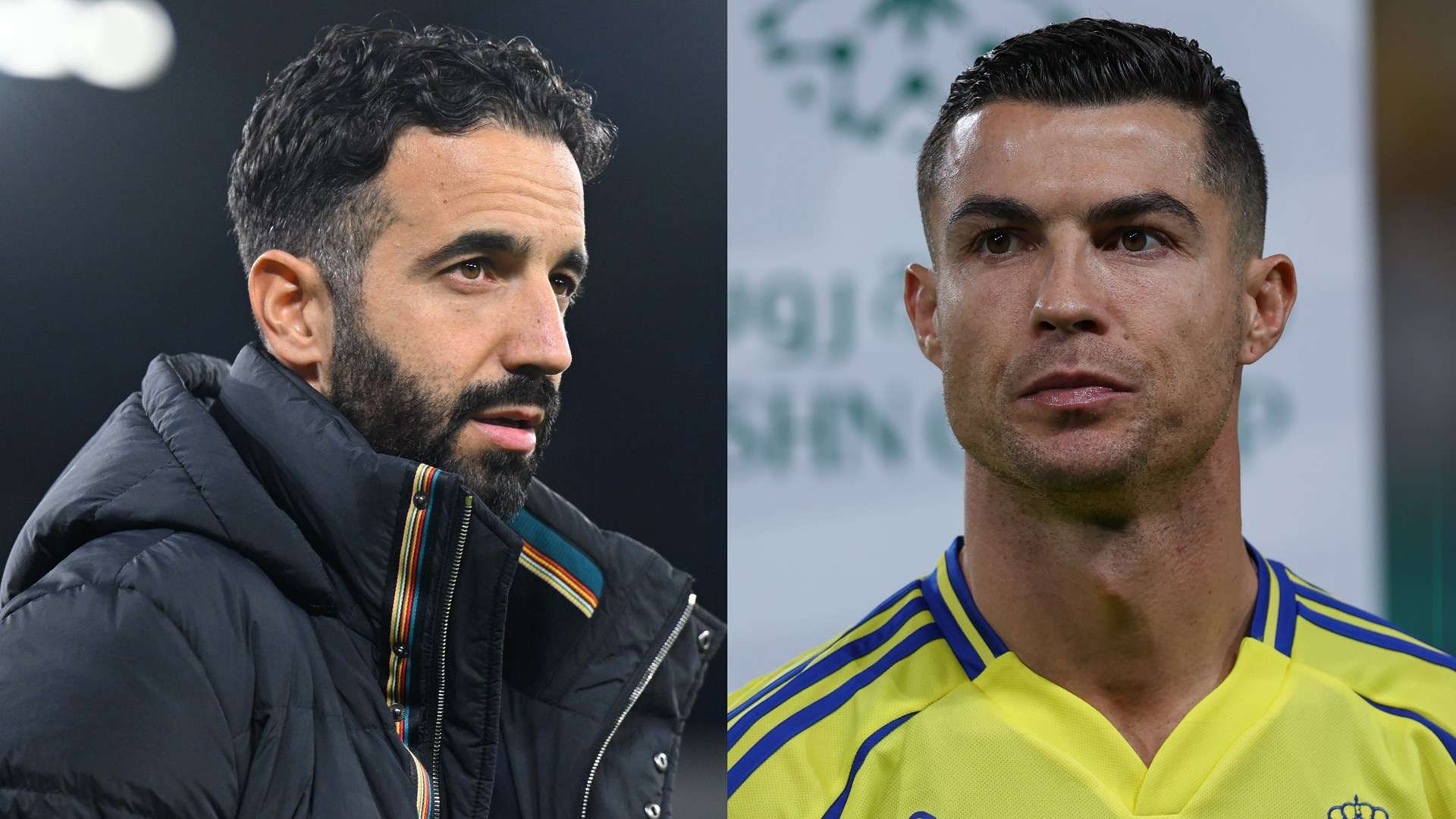 他们不仅是 他们不仅是